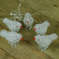 5 Pack of Christmas Acrylic Birds - 16cm - 30 White LEDs - Mains Powered