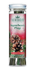 Scentsicles Christmas Scent Sticks - Pack of 6 - Snowberry Pine