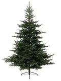 Grandis Fir Green Christmas Xmas Tree - Plain or Frosted Snowy - Various Sizes