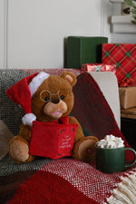 Festive 26cm Battery Operated Animated Telling Story Bear with Book